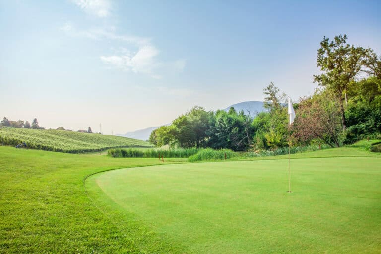 Lush golf course with green fairways, trees, and scenic mountains in the background.